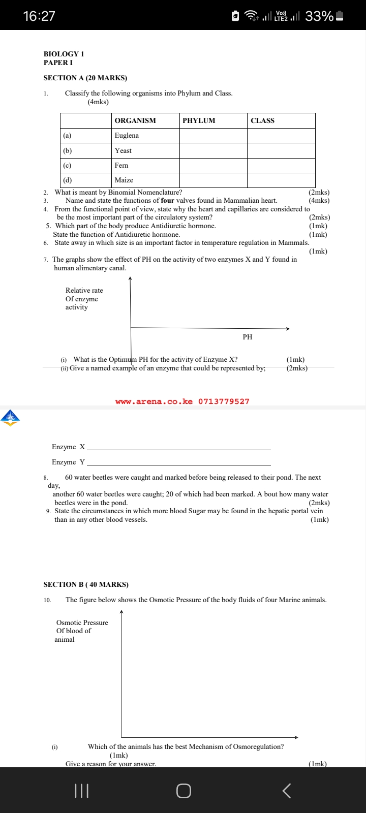 No preview available