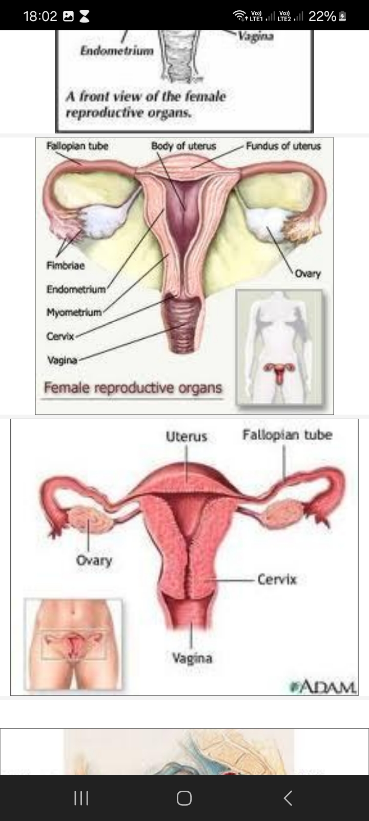 No preview available