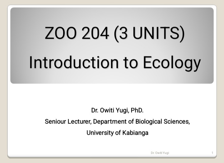 No preview available