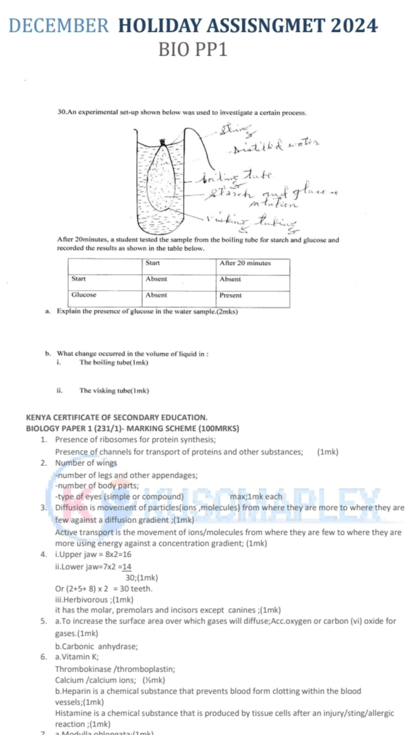 No preview available