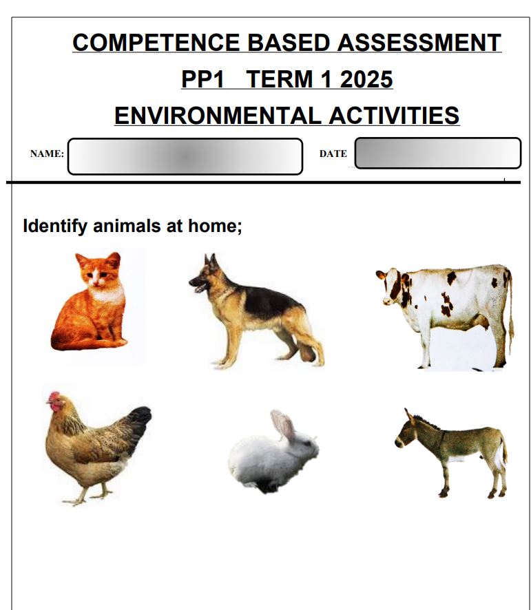 No preview available