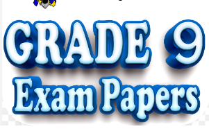 No preview available