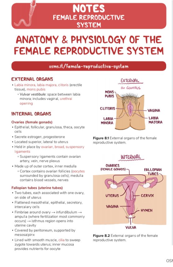 No preview available