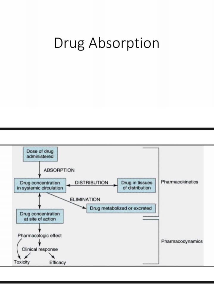 No preview available