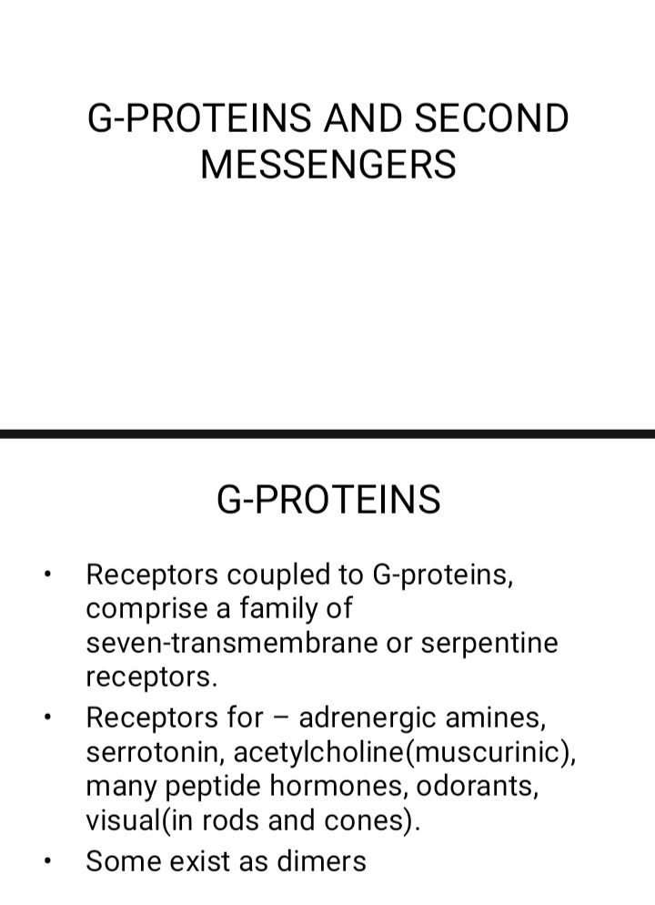 No preview available