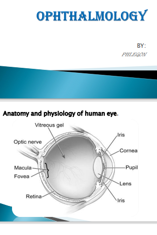 No preview available