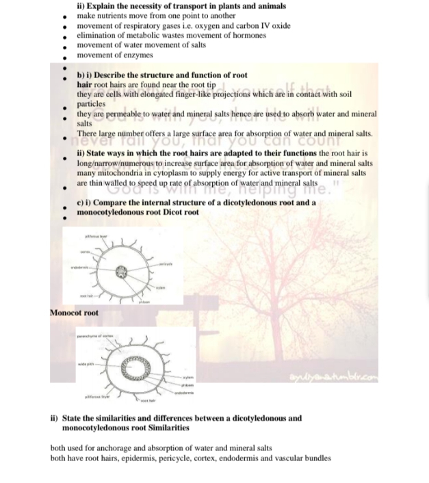 No preview available