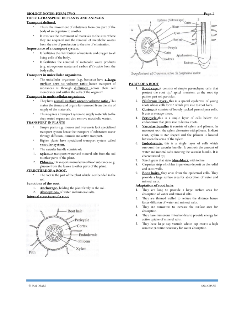 No preview available