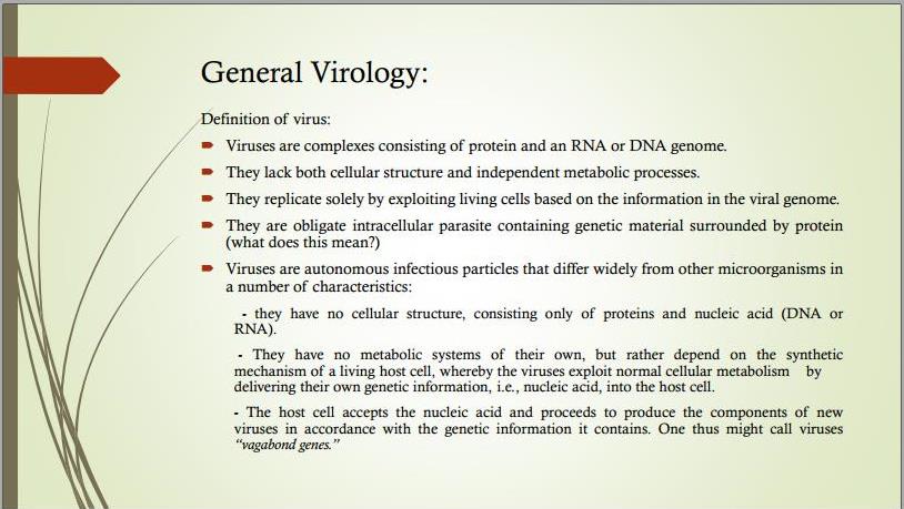 No preview available