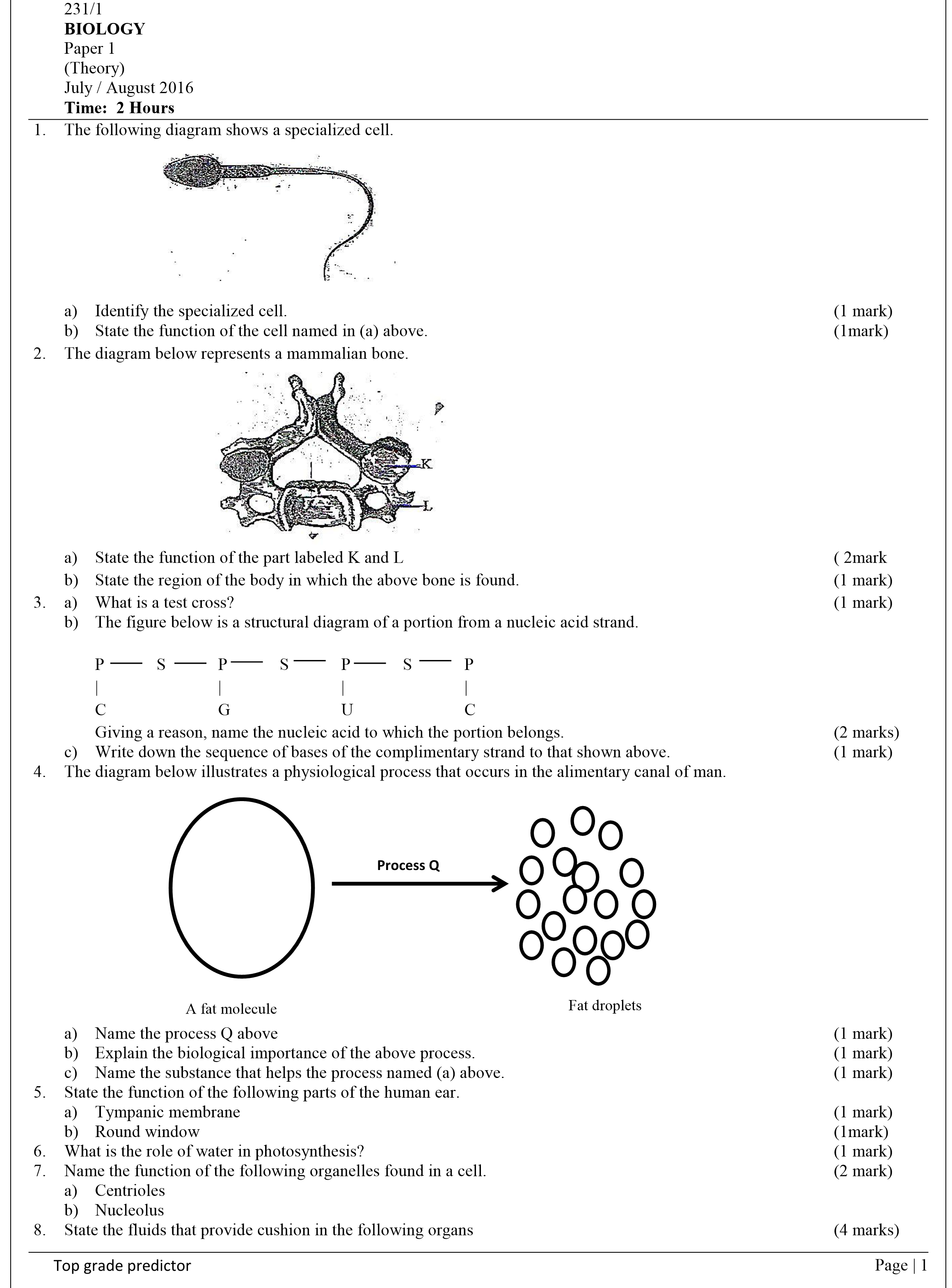 No preview available