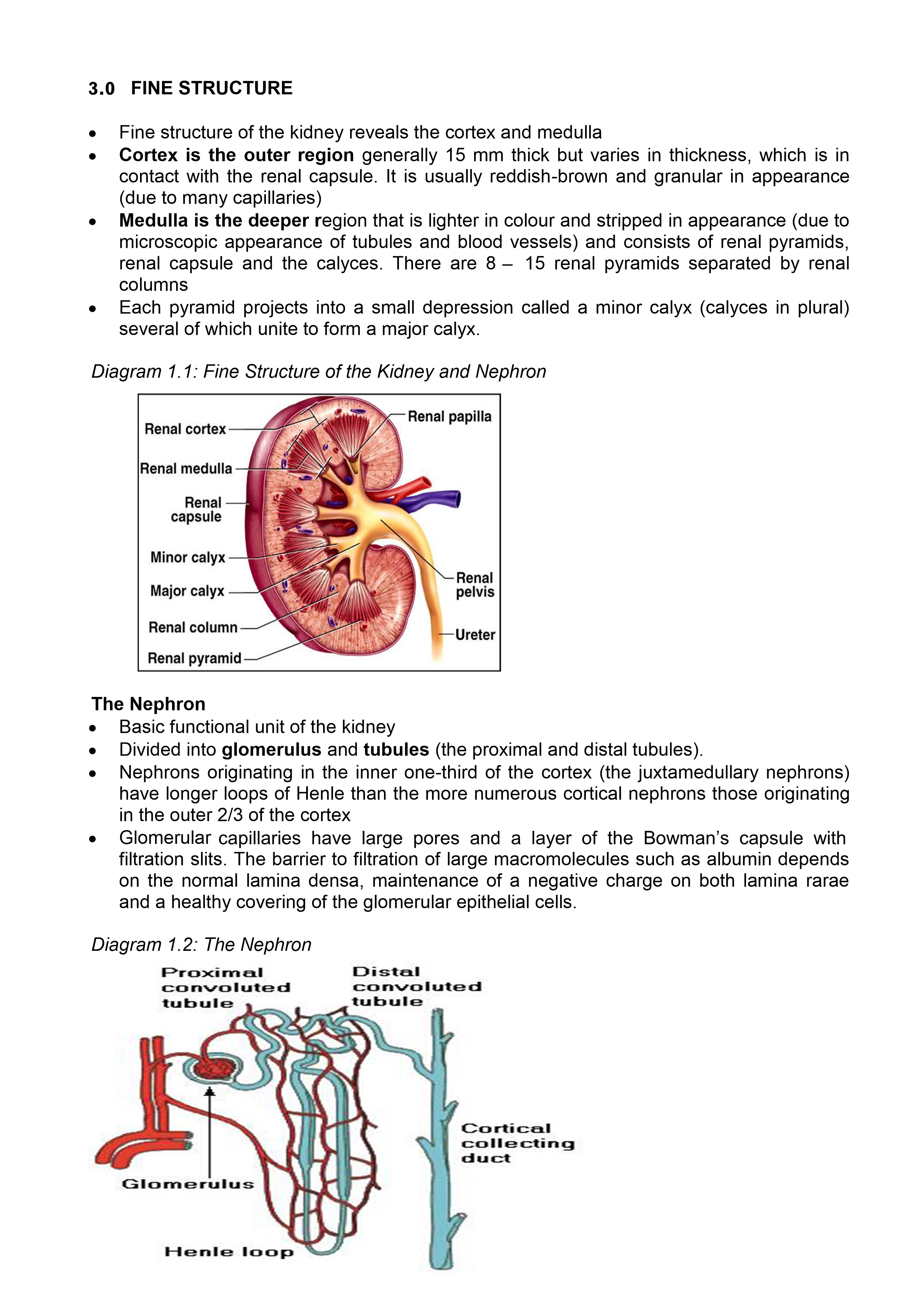 Kidney Function Notes Notes.co.ke - Education notes in Kenya